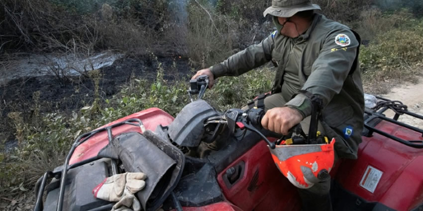 Biodiversidade em chamas