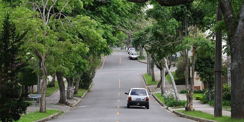 Arborização urbana